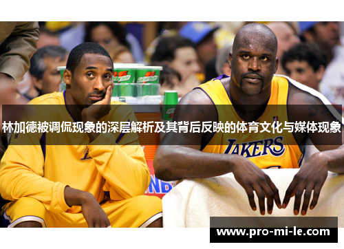 林加德被调侃现象的深层解析及其背后反映的体育文化与媒体现象