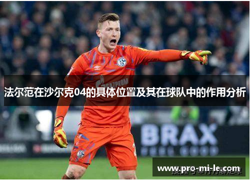 法尔范在沙尔克04的具体位置及其在球队中的作用分析