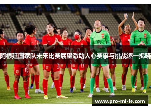 阿根廷国家队未来比赛展望激动人心赛事与挑战逐一揭晓