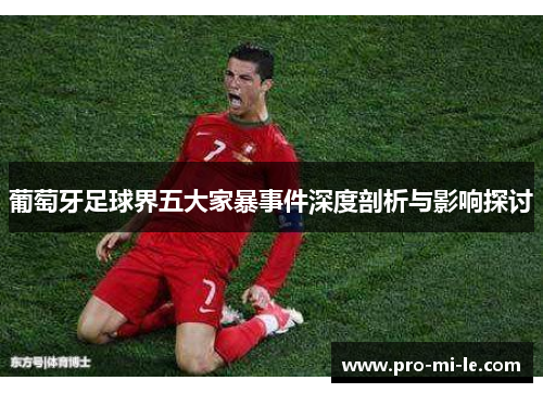 葡萄牙足球界五大家暴事件深度剖析与影响探讨